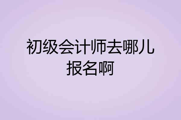 初级会计师去哪儿报名啊