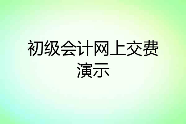 初级会计网上交费演示