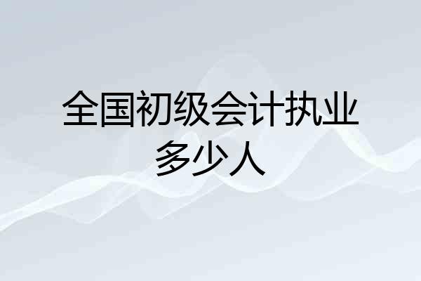 全国初级会计执业多少人