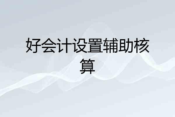 好会计设置辅助核算