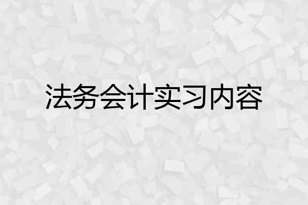 法务会计实习内容