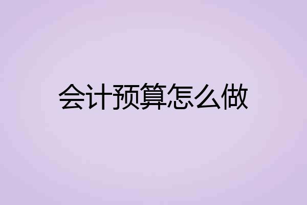 会计预算怎么做