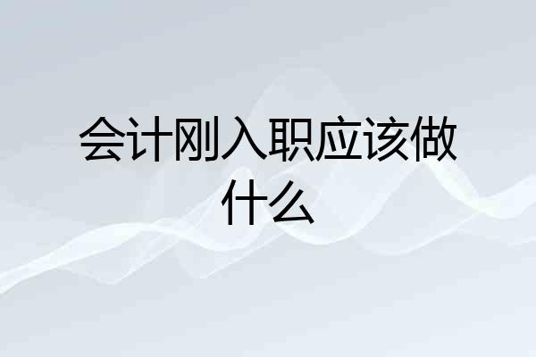 会计刚入职应该做什么