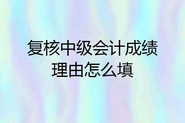 复核中级会计成绩理由怎么填
