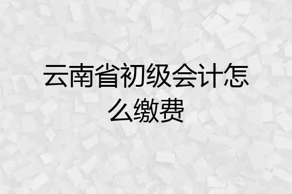 云南省初级会计怎么缴费