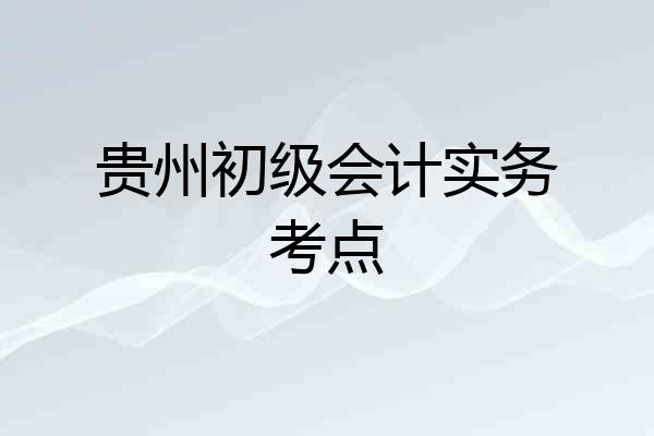 贵州初级会计实务考点