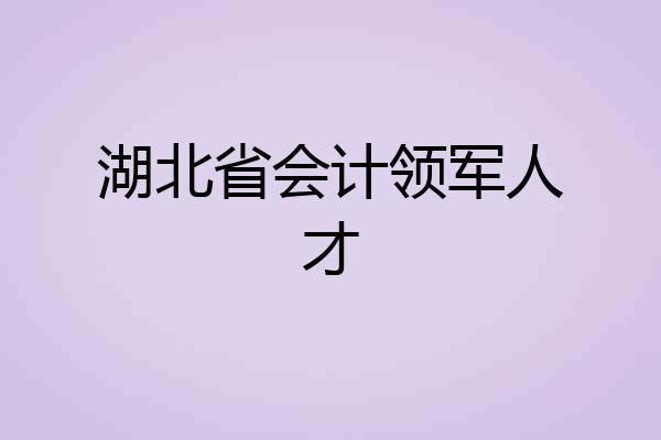 湖北省会计领军人才