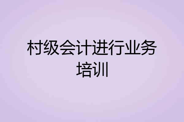 村级会计进行业务培训