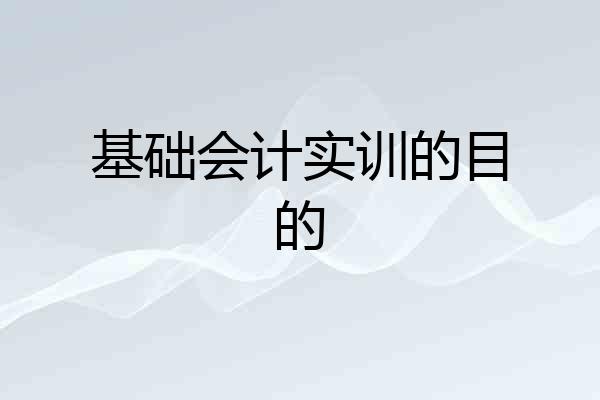基础会计实训的目的