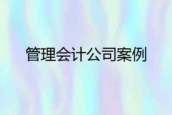 管理会计公司案例