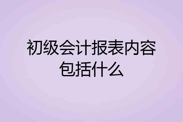 初级会计报表内容包括什么