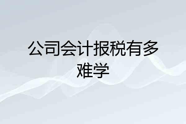 公司会计报税有多难学