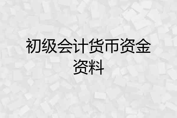 初级会计货币资金资料
