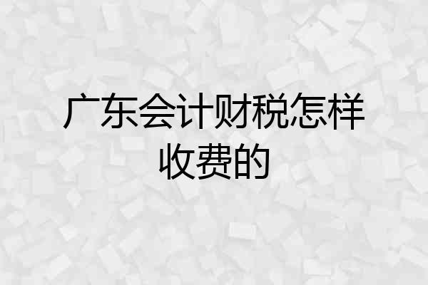 广东会计财税怎样收费的