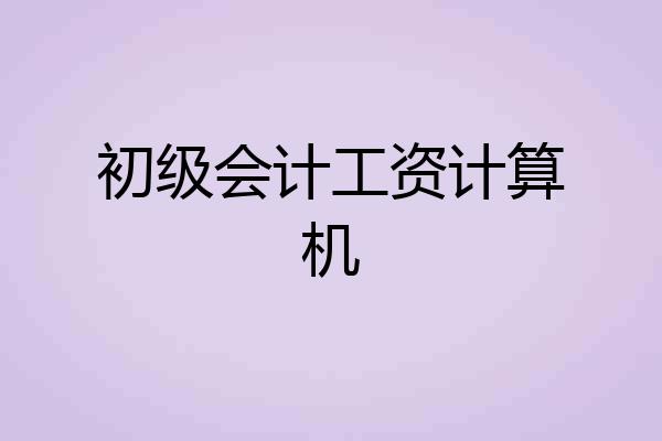 初级会计工资计算机