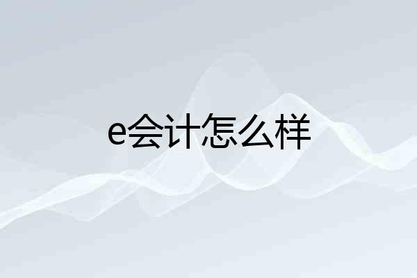e会计怎么样