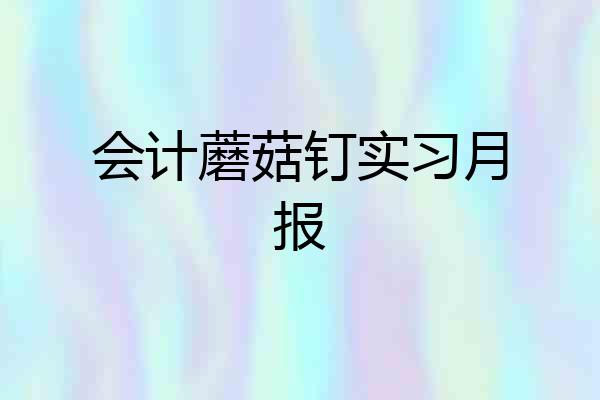 会计蘑菇钉实习月报