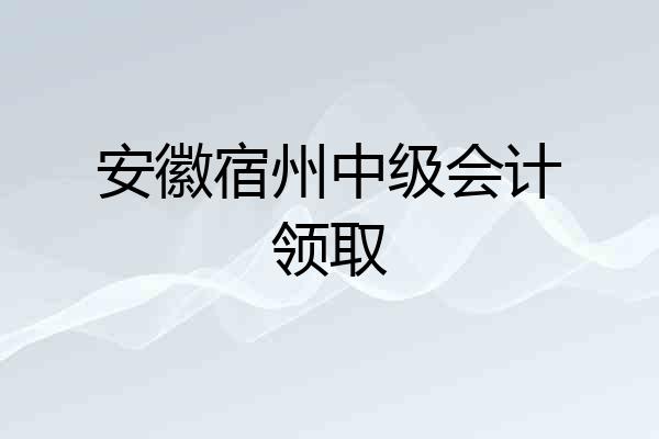 安徽宿州中级会计领取
