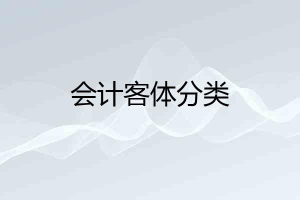 会计客体分类