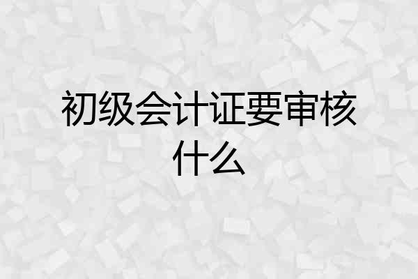 初级会计证要审核什么