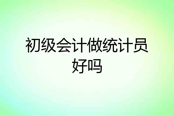 初级会计做统计员好吗