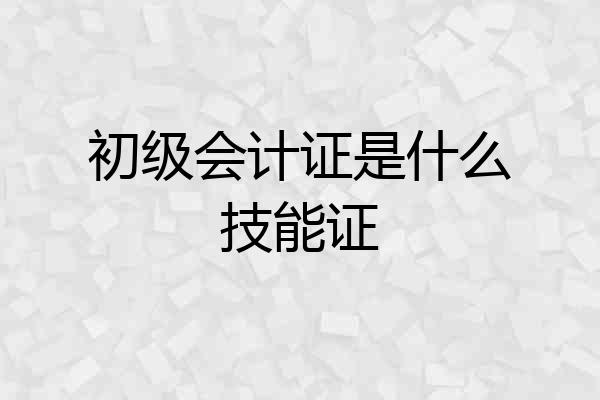 初级会计证是什么技能证