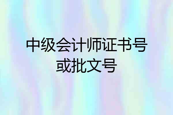 中级会计师证书号或批文号