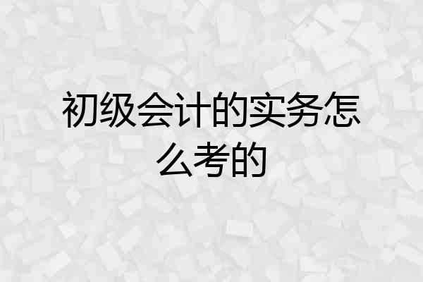 初级会计的实务怎么考的