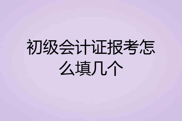 初级会计证报考怎么填几个