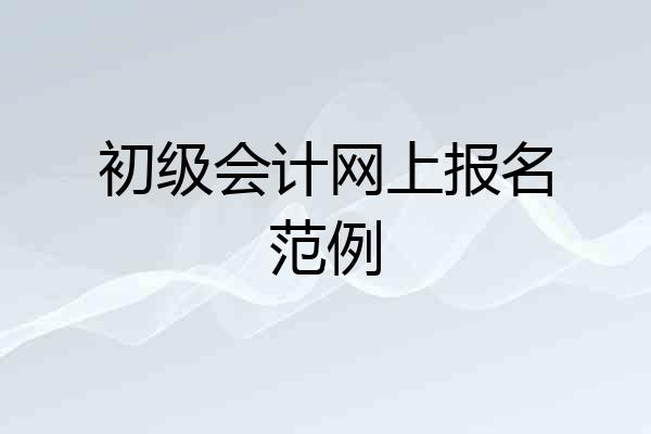 初级会计网上报名范例