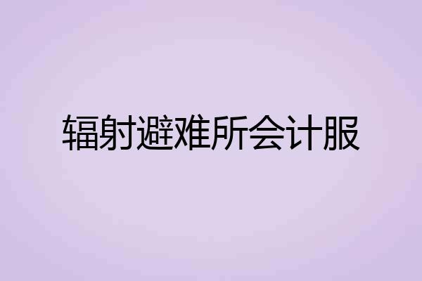辐射避难所会计服