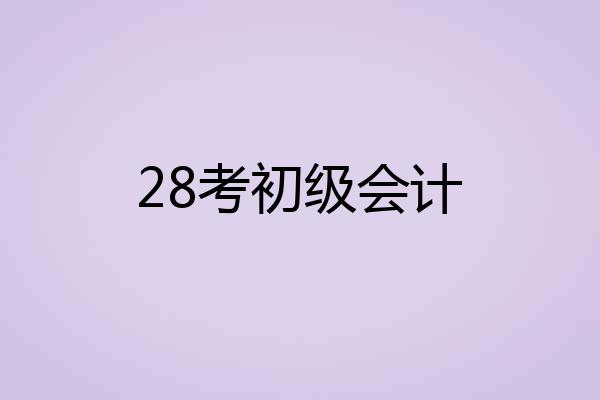 28考初级会计