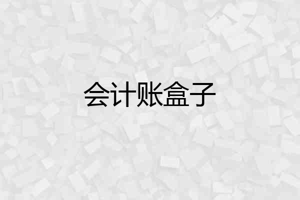 会计账盒子