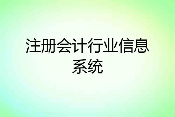 注册会计行业信息系统