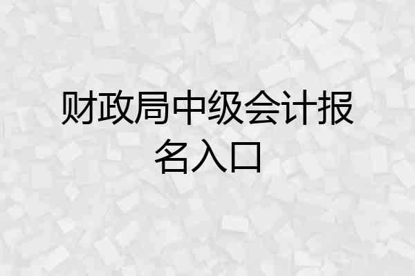 财政局中级会计报名入口