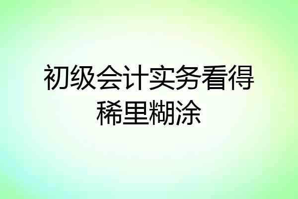 初级会计实务看得稀里糊涂