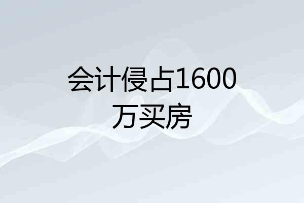 会计侵占1600万买房
