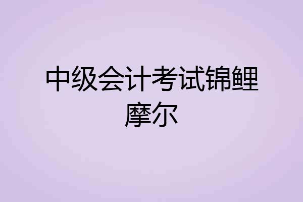 中级会计考试锦鲤摩尔