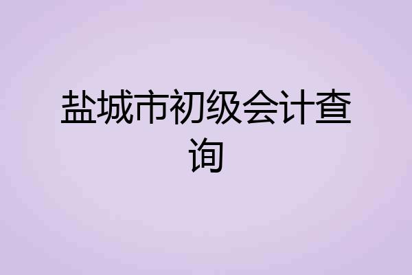 盐城市初级会计查询