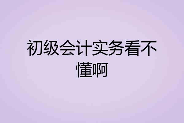 初级会计实务看不懂啊