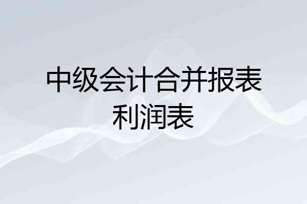 中级会计合并报表利润表