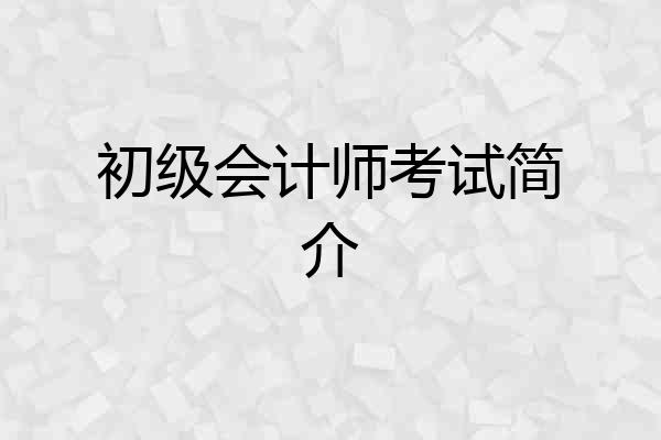 初级会计师考试简介