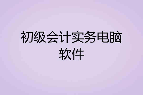 初级会计实务电脑软件