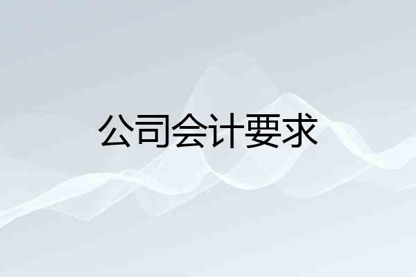 公司会计要求