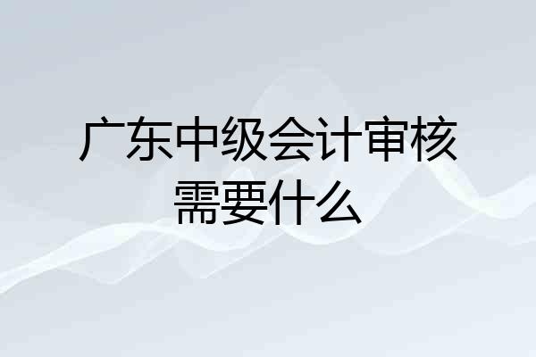 广东中级会计审核需要什么