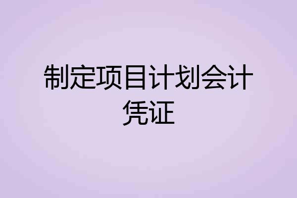 制定项目计划会计凭证