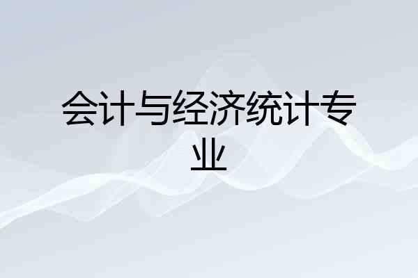 会计与经济统计专业