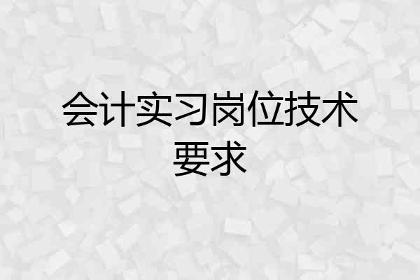 会计实习岗位技术要求