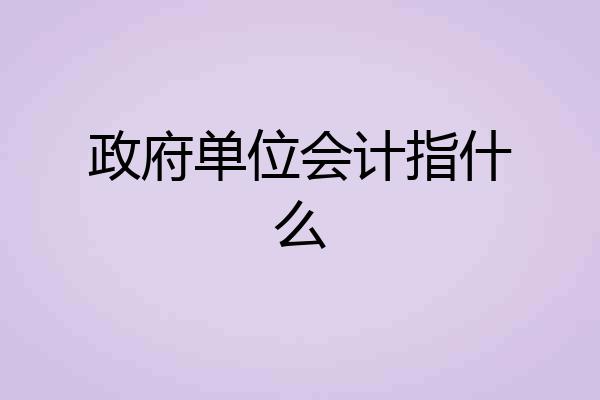 政府单位会计指什么