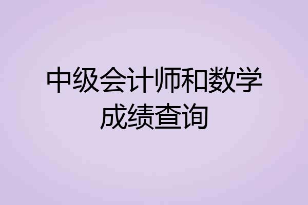 中级会计师和数学成绩查询